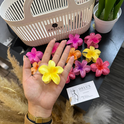 Pinza hawaiana 🌺 mediana